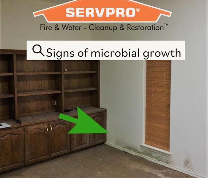 mold clean up mitigation technician servpro